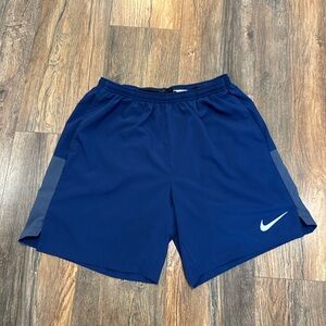 Nike Men's Blue Athletic Shorts
